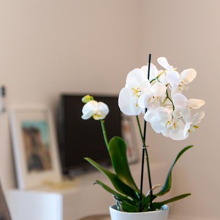 Apartment Ivi Trogir Dış mekan fotoğraf